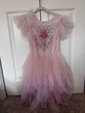 Tutu Du Monde Pale Pink Layered Tulle Dress with Sequin Floral Applique